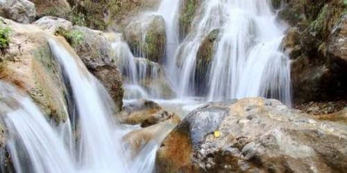 Hotel Aqua Vibes-Bhatta Falls